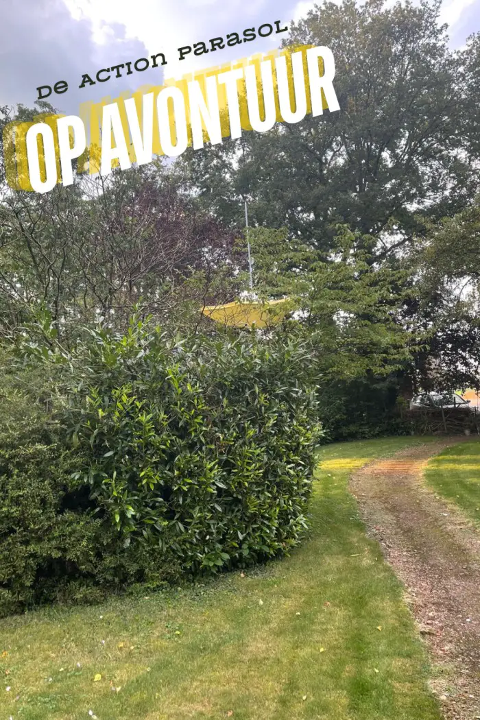 action parasol