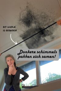 zwarte schimmel aan het plafond