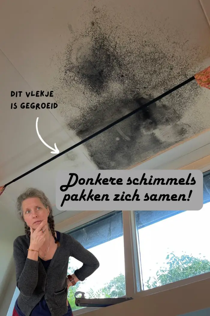zwarte schimmel aan het plafond