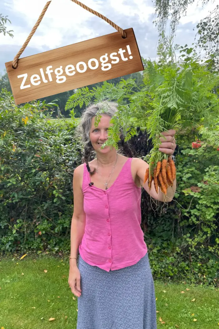 zelfgeoogst worteltjes uit eigen tuin