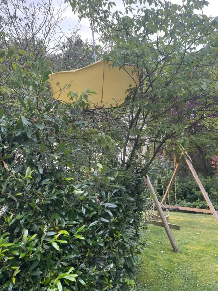 parasol