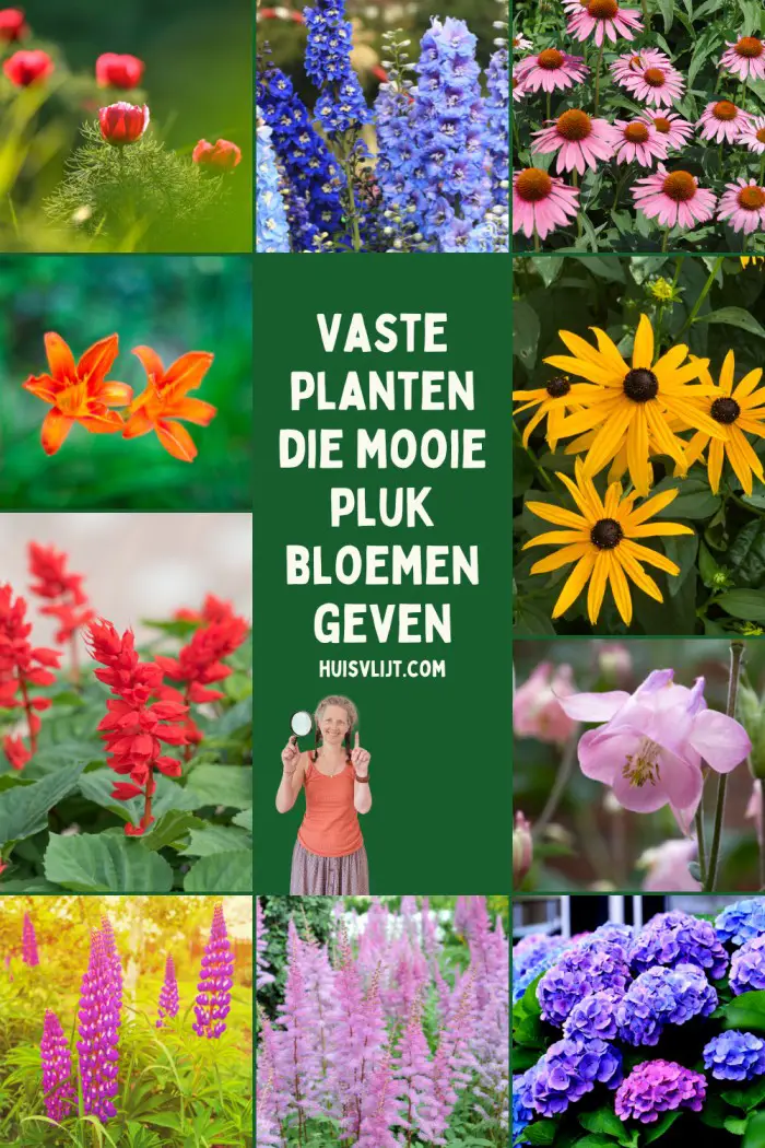 vaste planten voor pluktuin