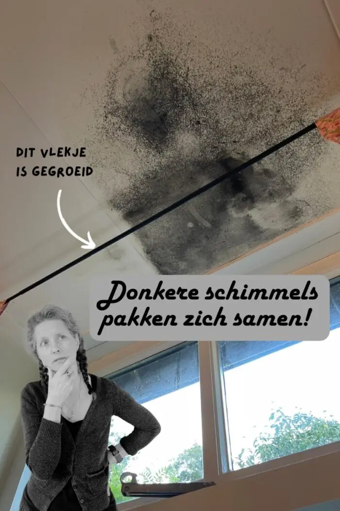 zwarte schimmel plafond