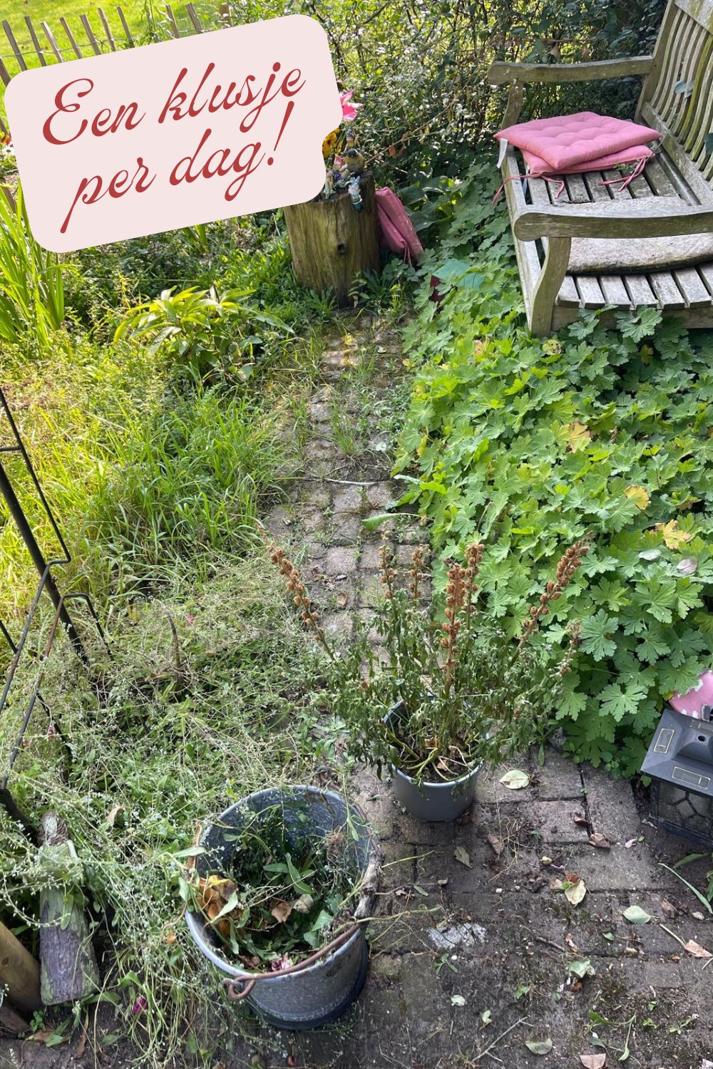 een klusje per dag onkruid verwijderen