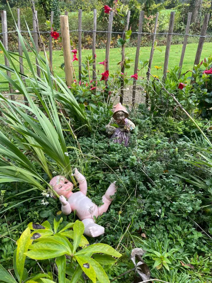 tuinbeeld tuin vignette