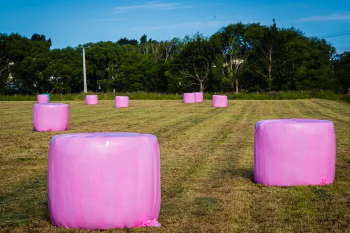 roze silobalen hooibalen