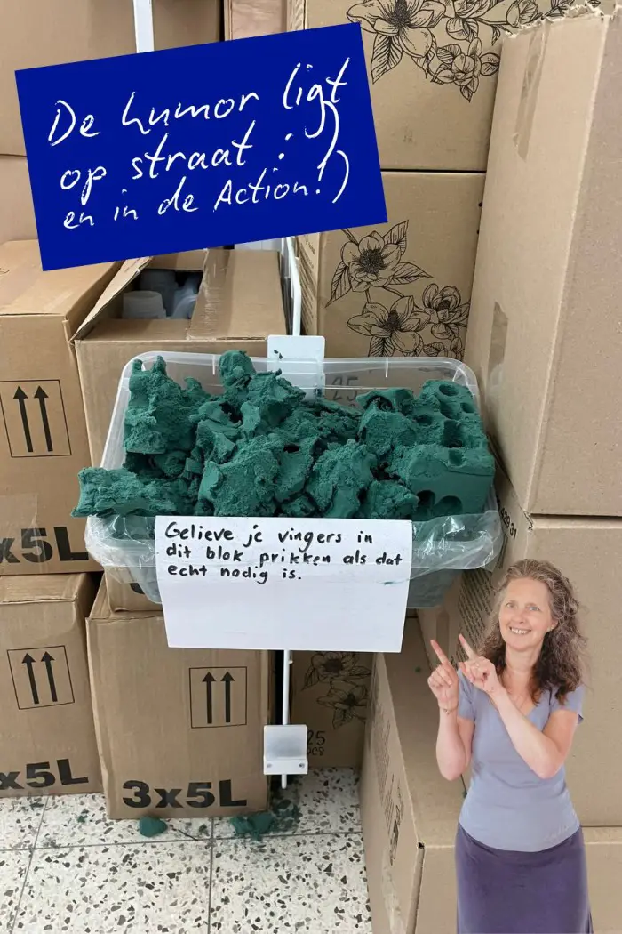humor action oase