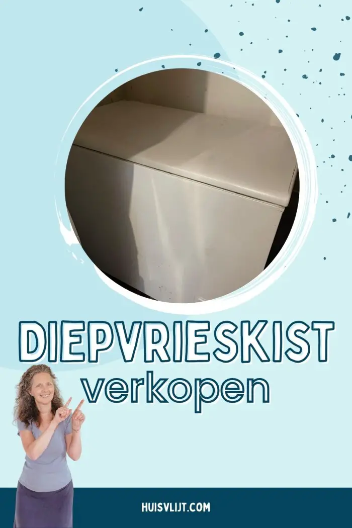 diepvrieskist verkopen