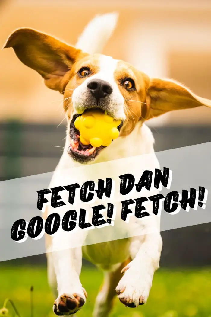 Fetch dan Google Fetch 1
