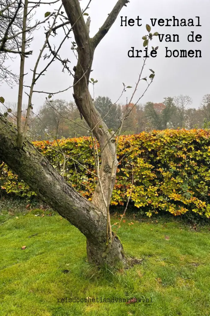 het verhaal van de drie bomen en rouw