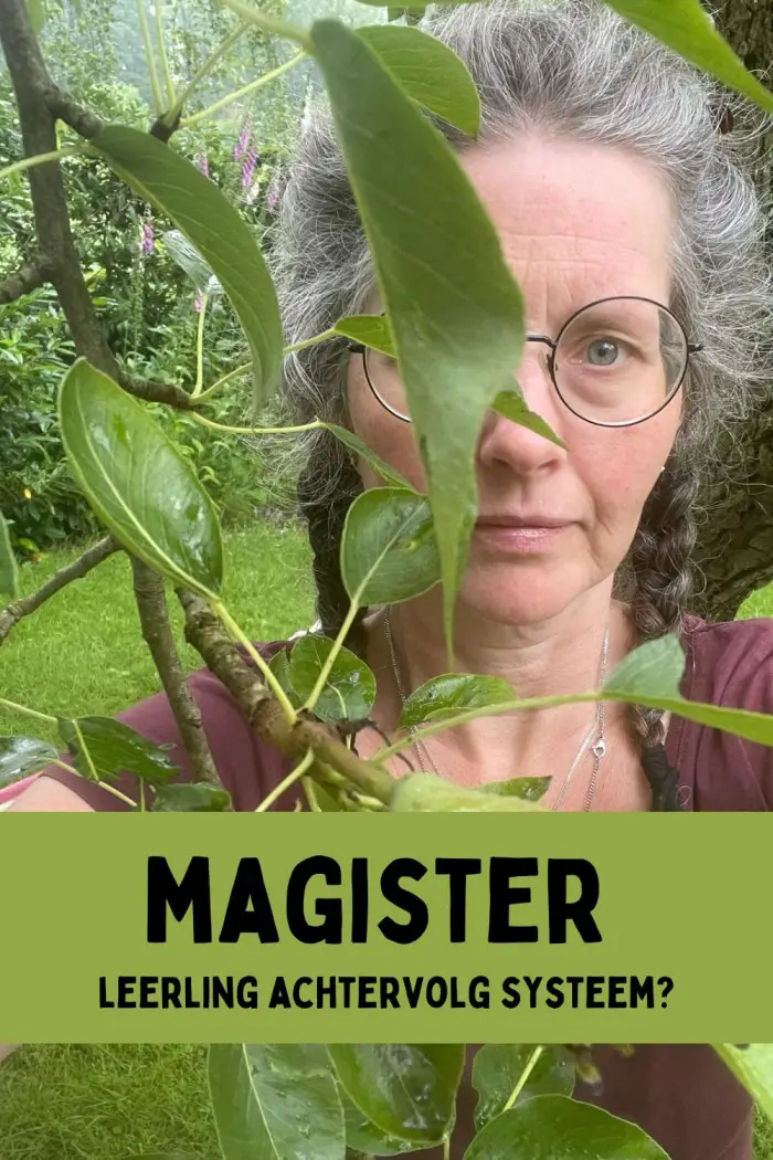 het magister afschaffen