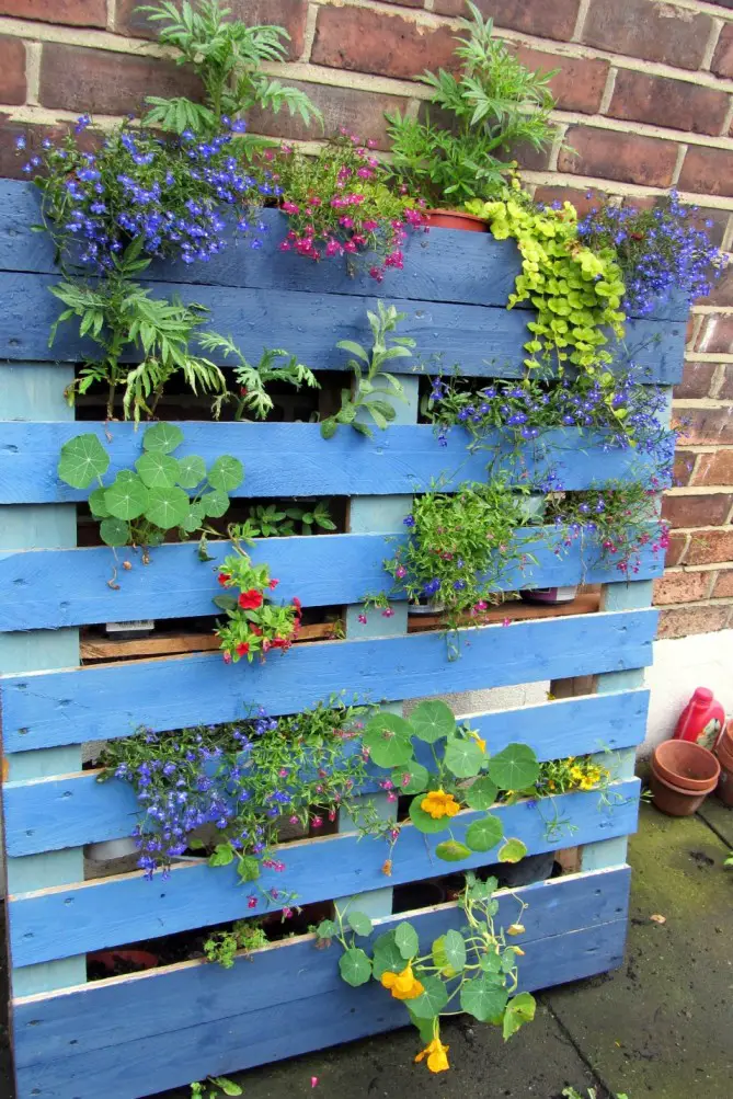 Goedkope tuinideeën 3 pallets diy