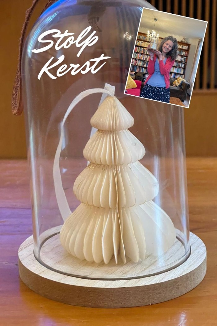 De kracht van een stolp: stolp decoratie 4 stolp kerst