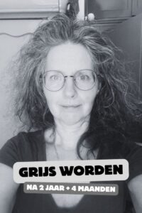 van bruin naar grijs haar