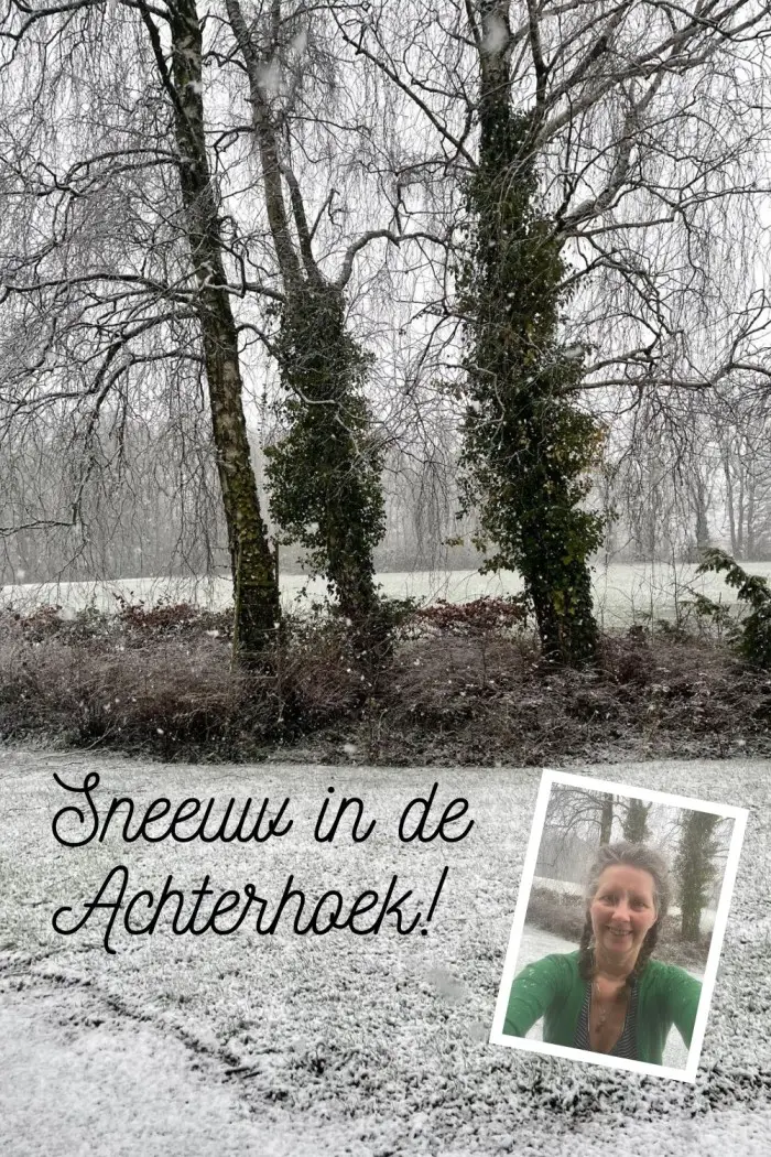 sneeuw in de achterhoek