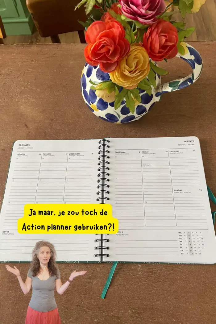 action planner