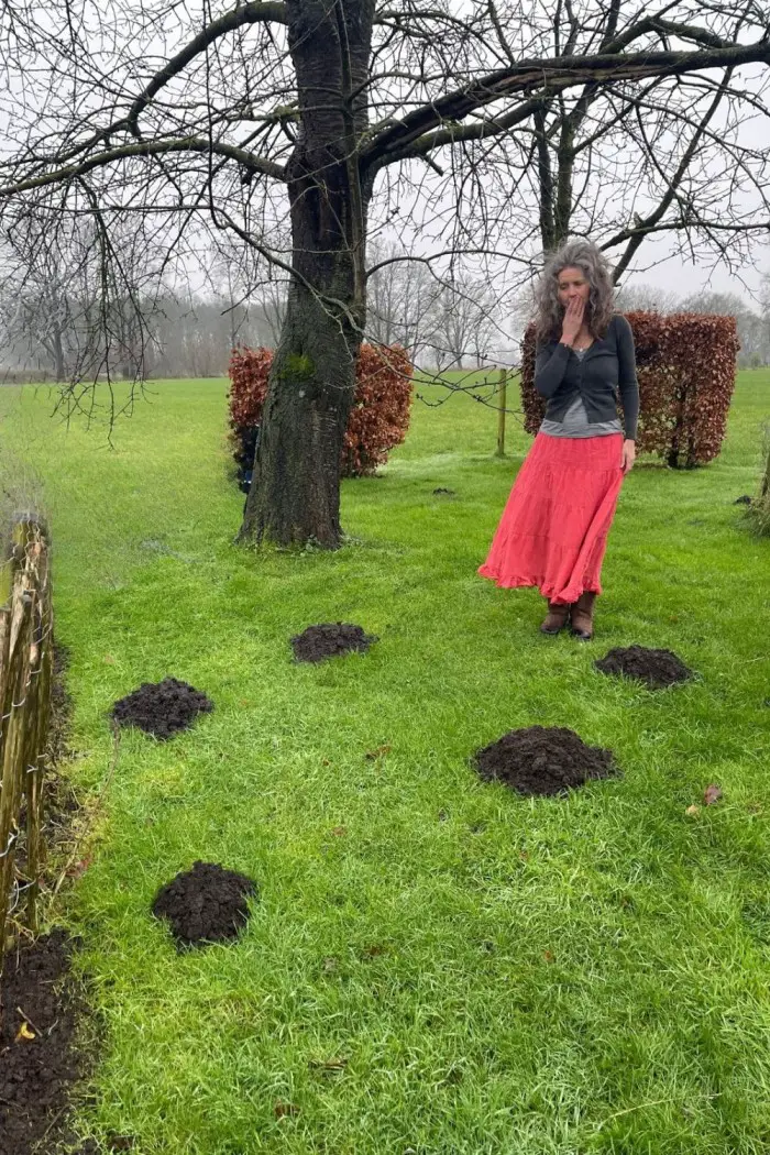 mol in de tuin