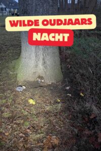 oudjaarsnacht