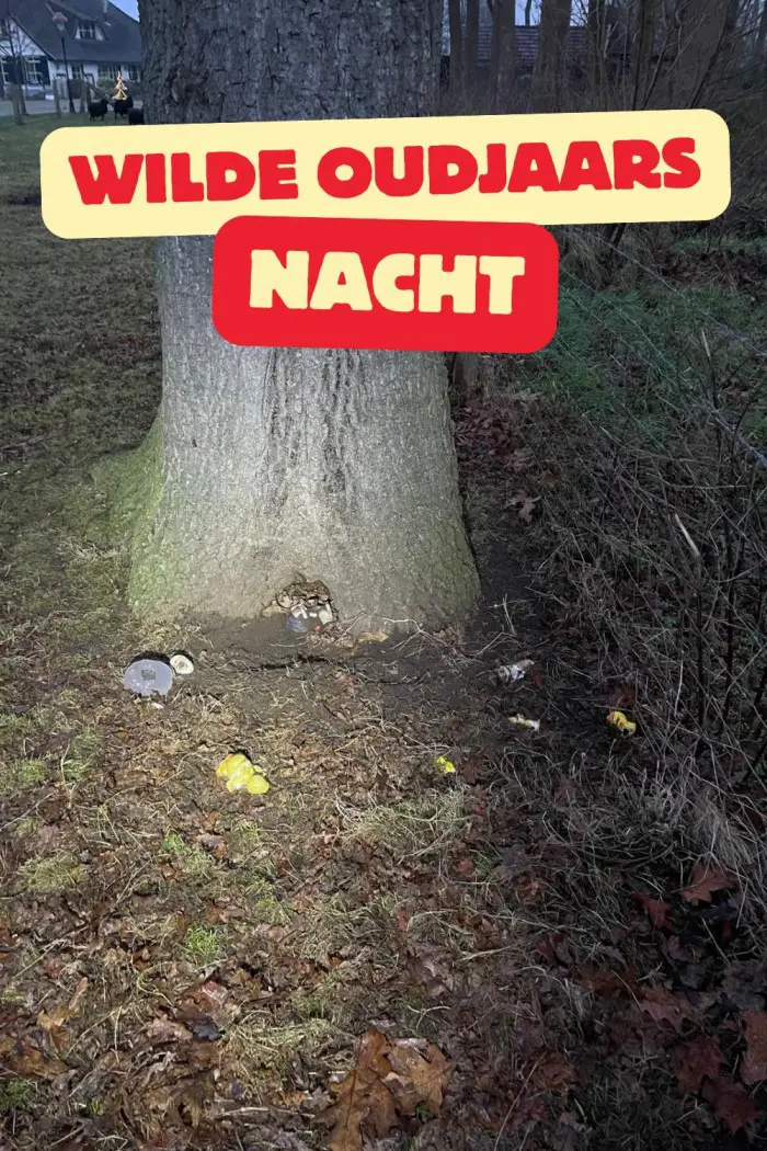 oudjaarsnacht