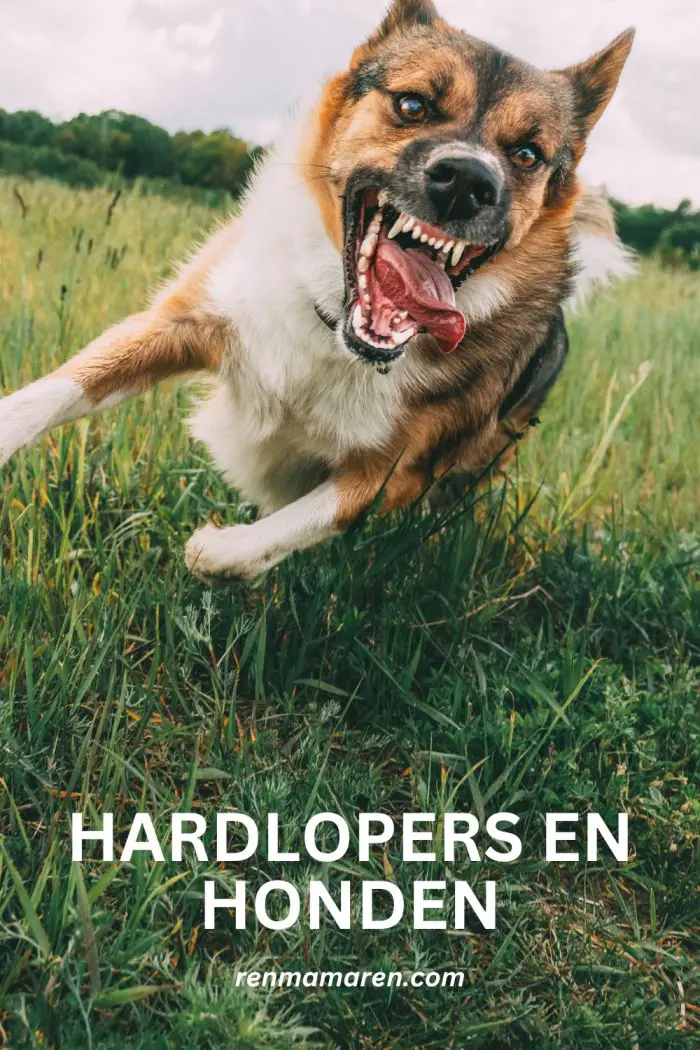 hardlopers en honden