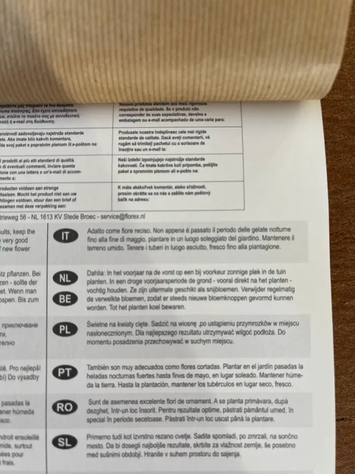 goedkope bloembollen