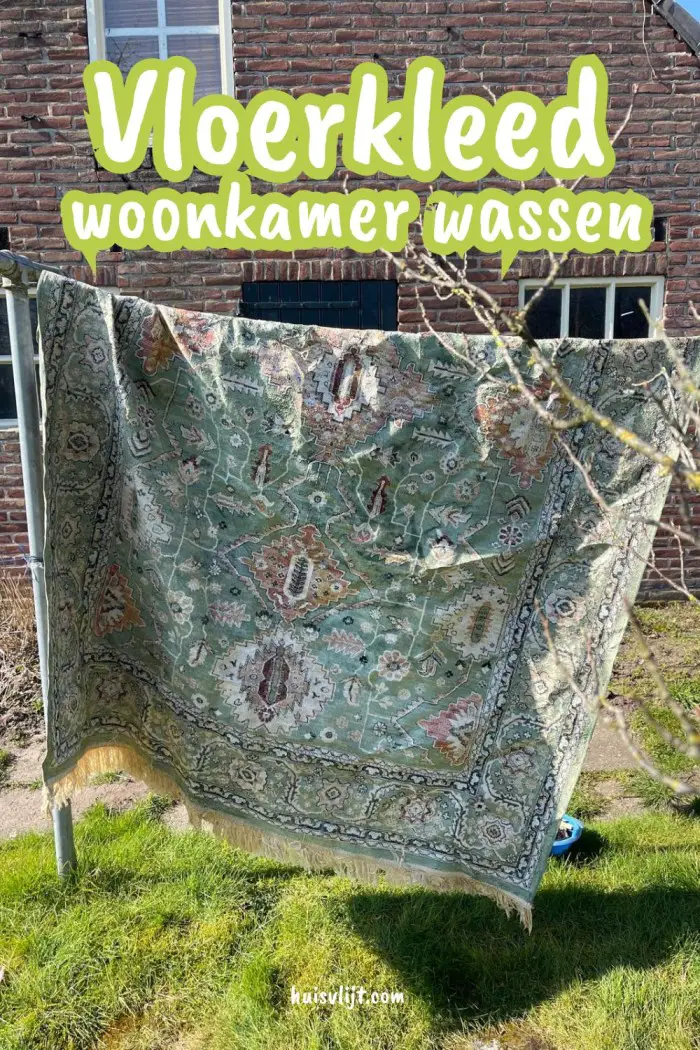 vloerkleed woonkamer wassen