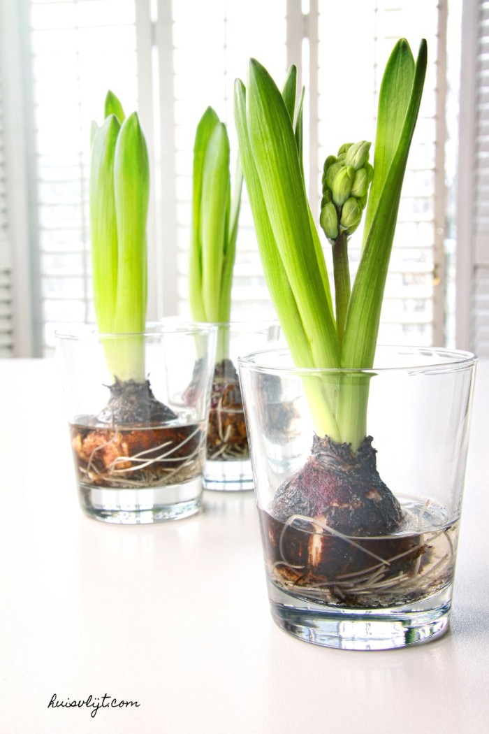 voorjaarsbloemstukken