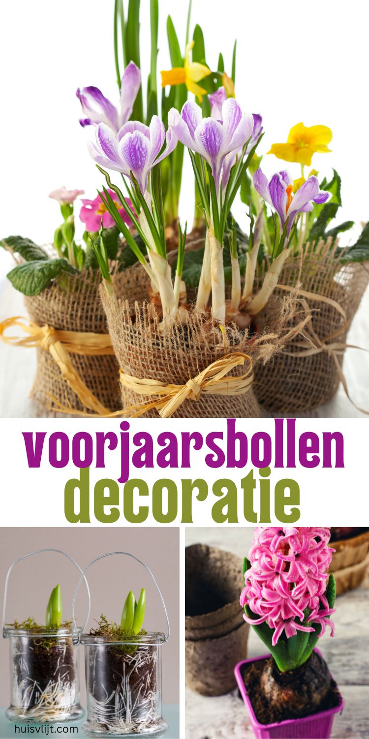 voorjaarsbollen decoratie ideeen