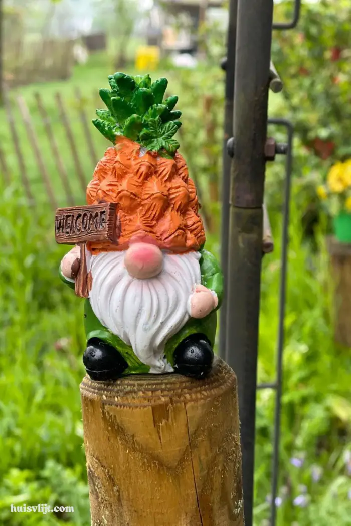 garden vignette