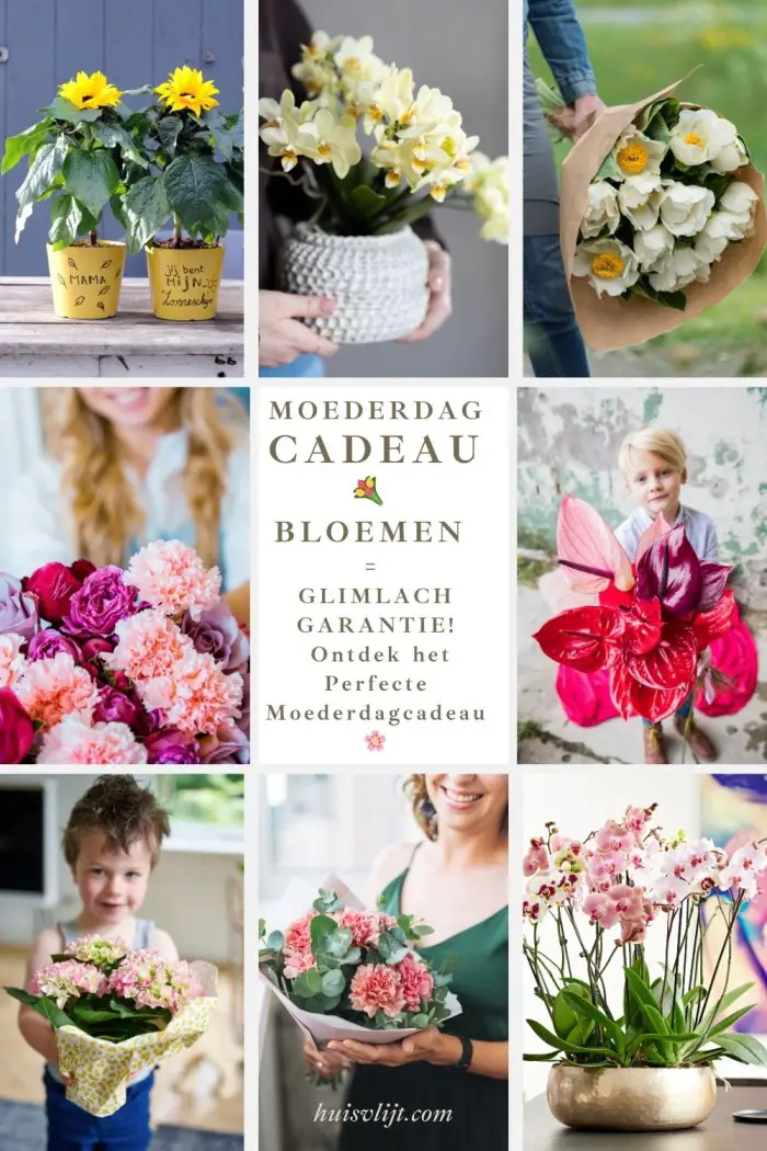 💐 Bloemen = Glimlachgarantie! Ontdek het Perfecte Moederdag cadeau 🌸 1 Moederdag cadeau
