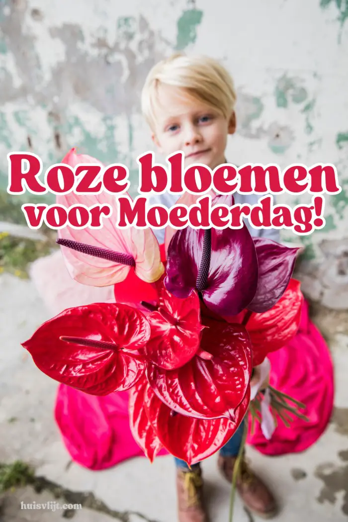 roze bloemen 