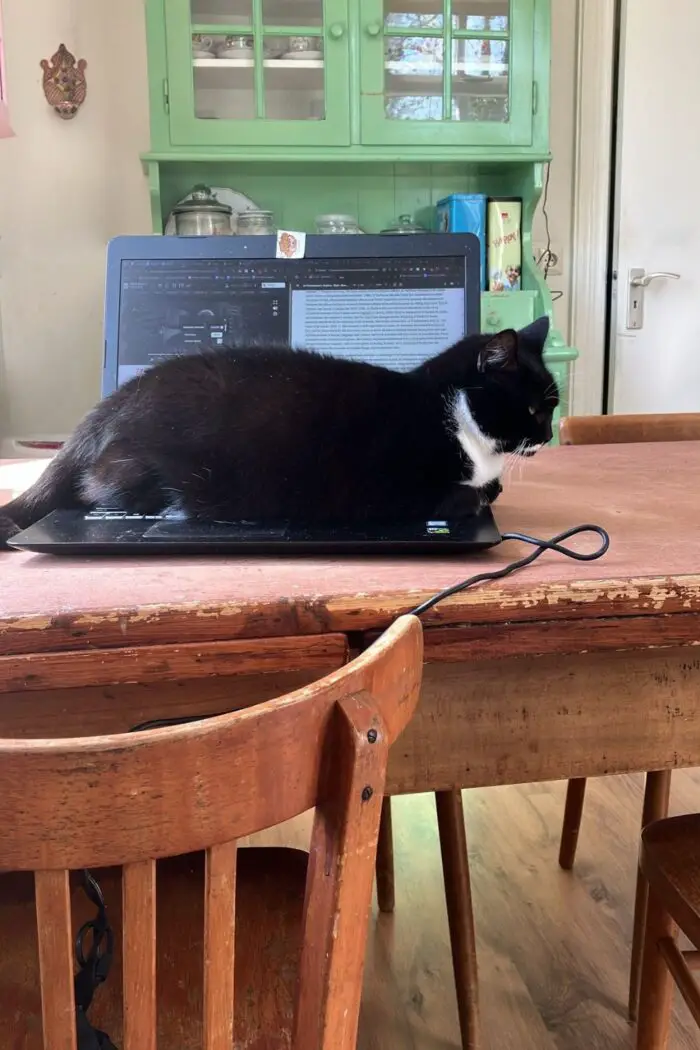 soep op laptop