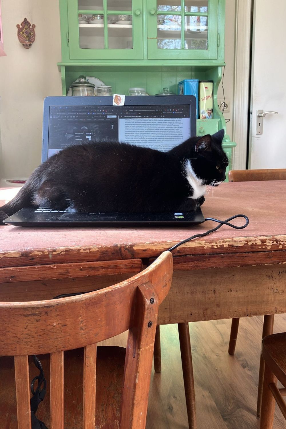 soep op laptop