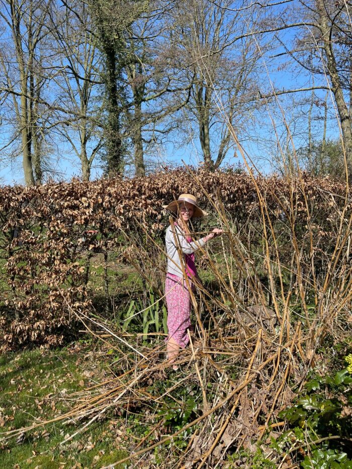 japanse duizendschoon