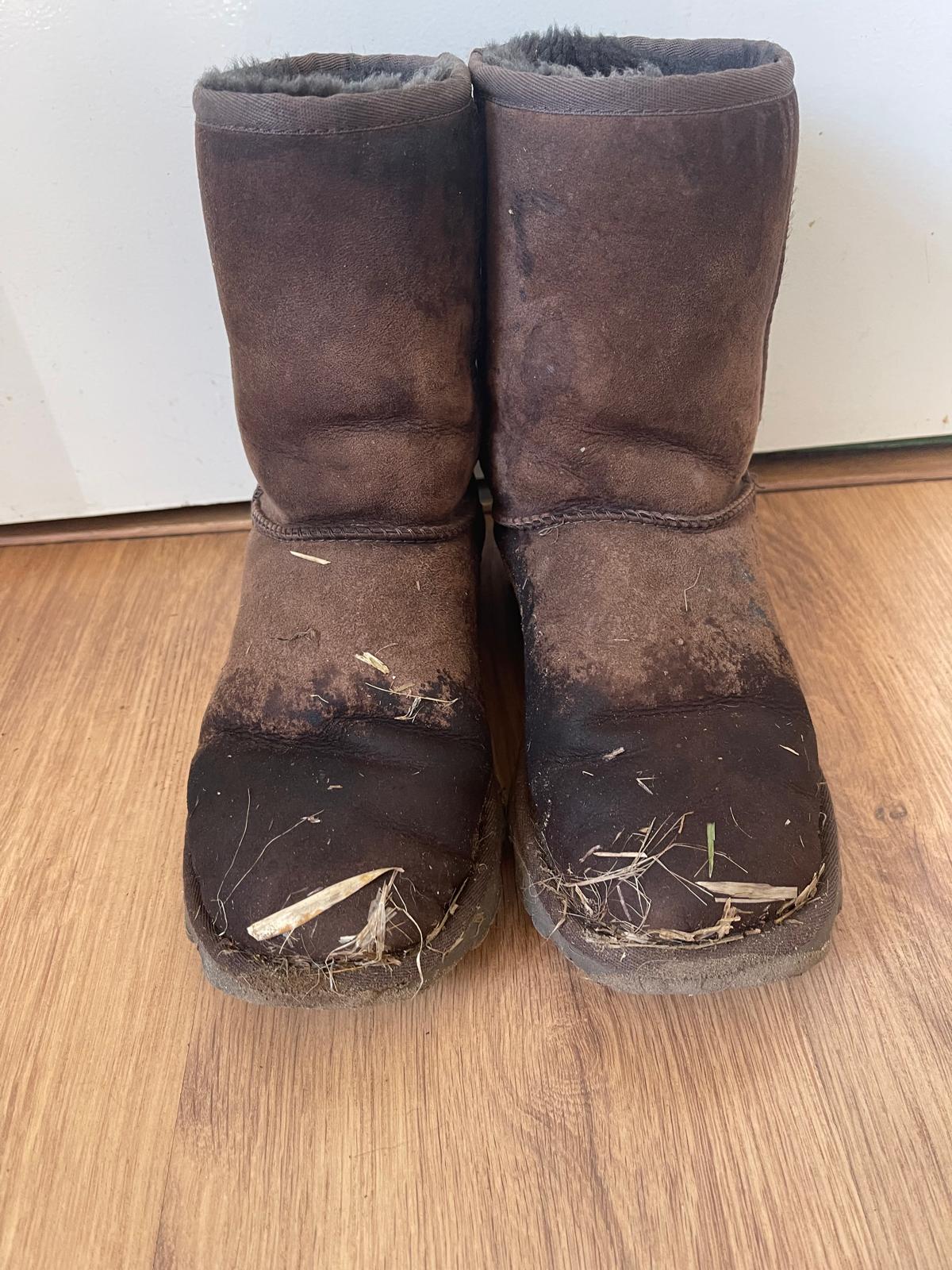 uggs