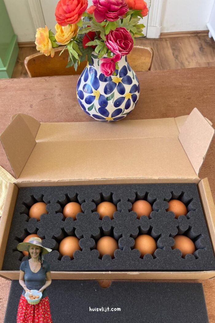 PFAS-test bij mijn kippen: 279 euro en 8 dagen wachten op een doos 3 pfas test voor eieren