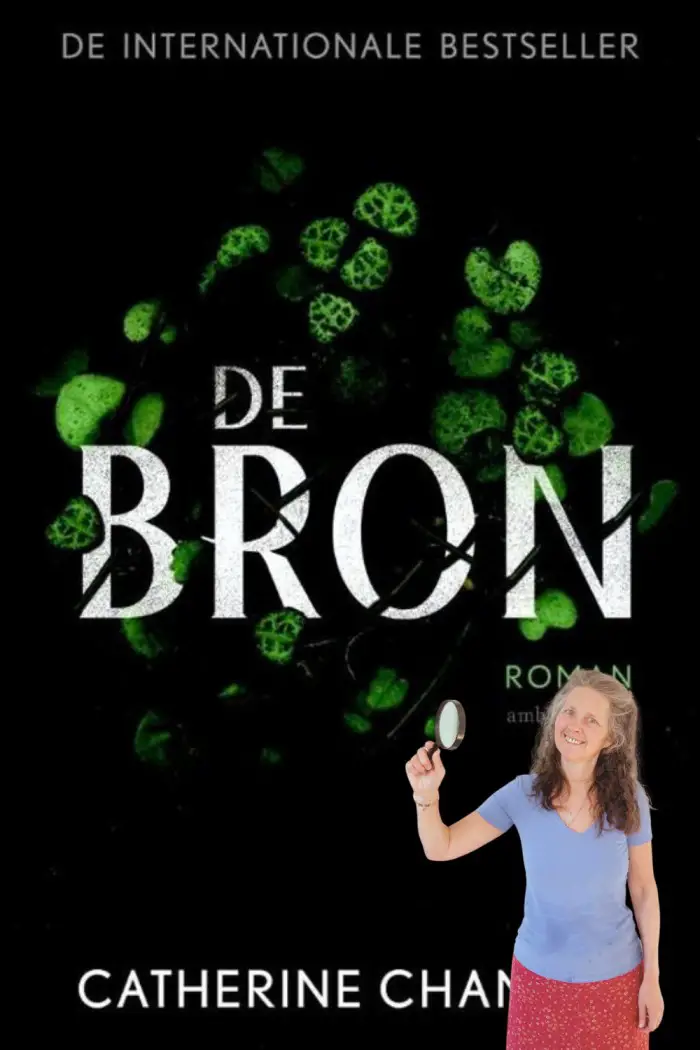 de bron
