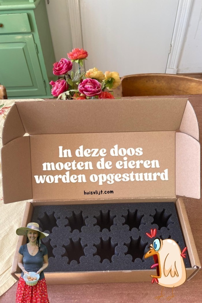 PFAS-test bij mijn kippen: 279 euro en 8 dagen wachten op een doos 2 pfas test eieren eigen kippen