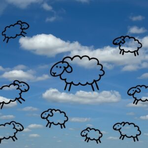 schapenwolken