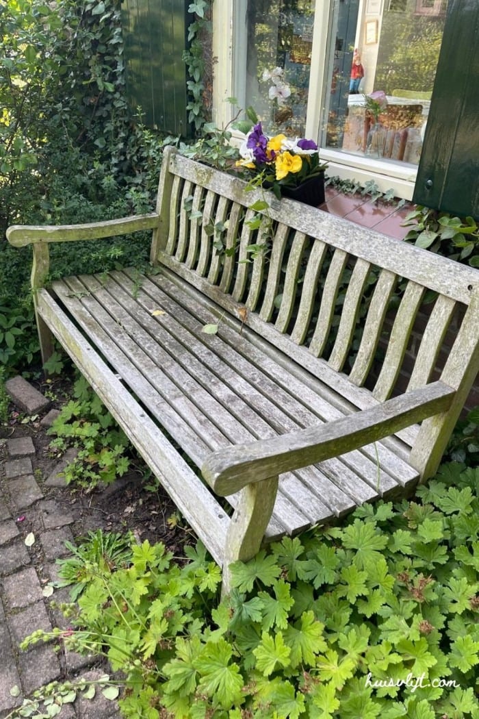 bloemen in de voortuin