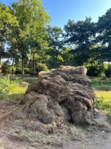 gras hoop