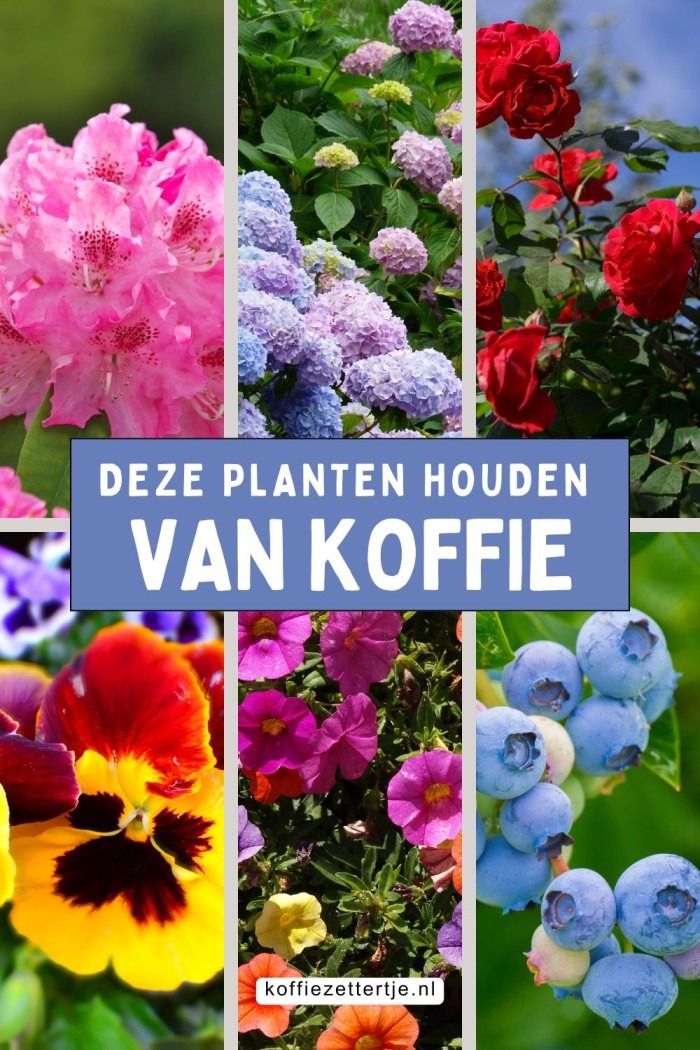 koffie voor planten