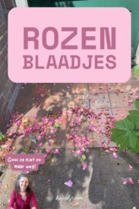 rozenblaadjes