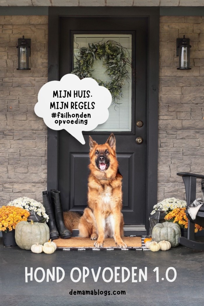 Huisvlijt Weekoverzicht 5 hond opvoeden