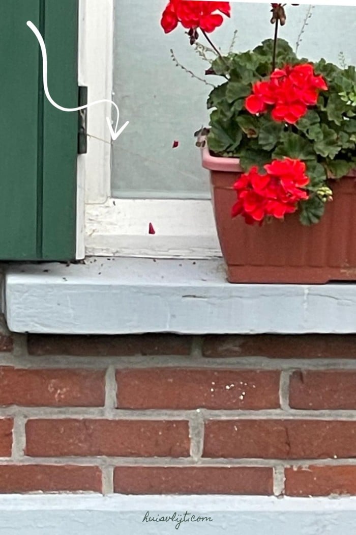Bloemen op een lastige vensterbank? Zo blijft je bloempot staan! #Lifehack