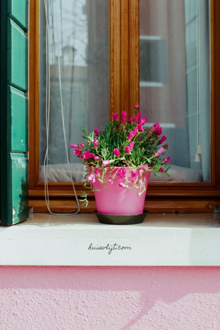 vensterbank decoratie