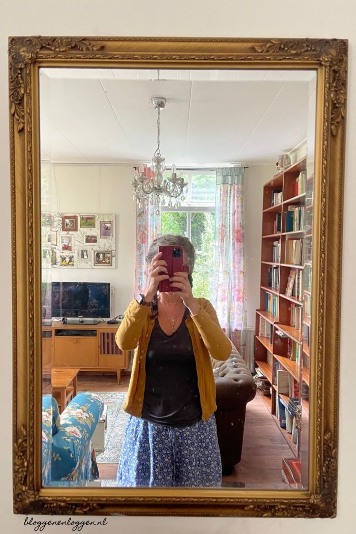 Huisvlijt Weekoverzicht 4 bloggen voor beginners