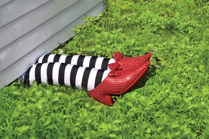 aansprakelijkheidsverzekering