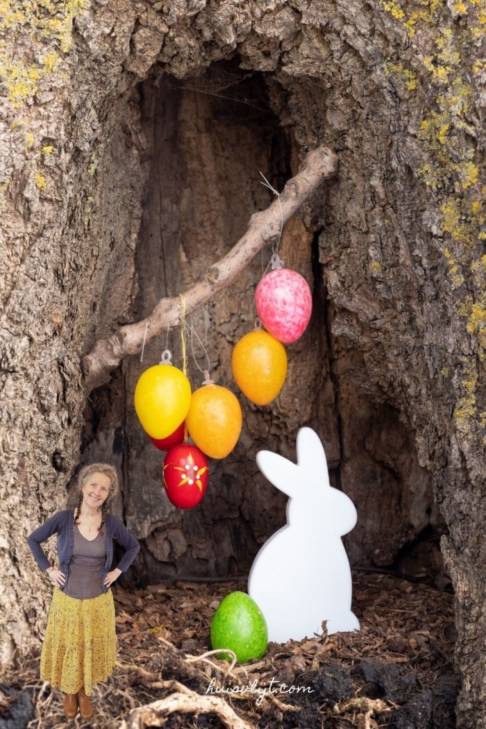 creatief met boomstam