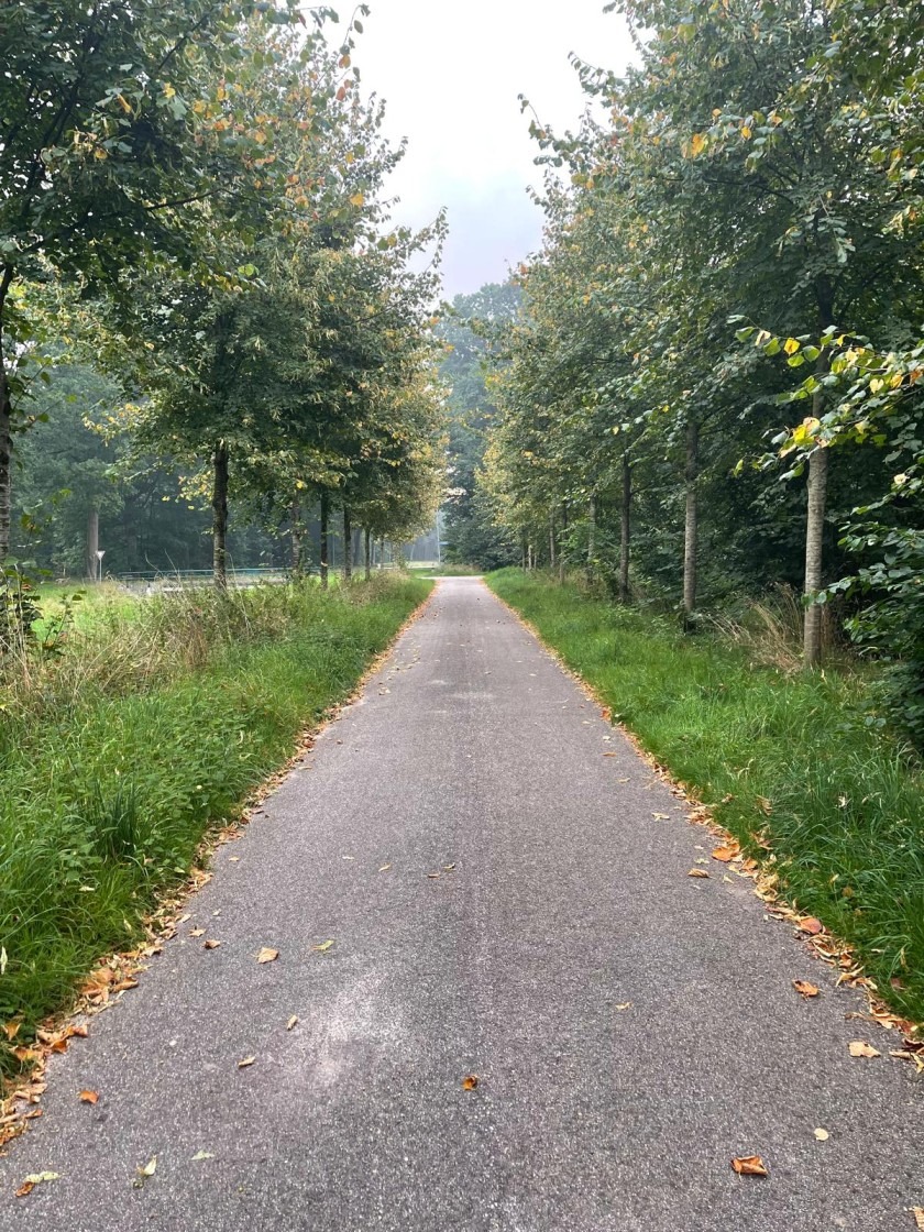 ierse zegen